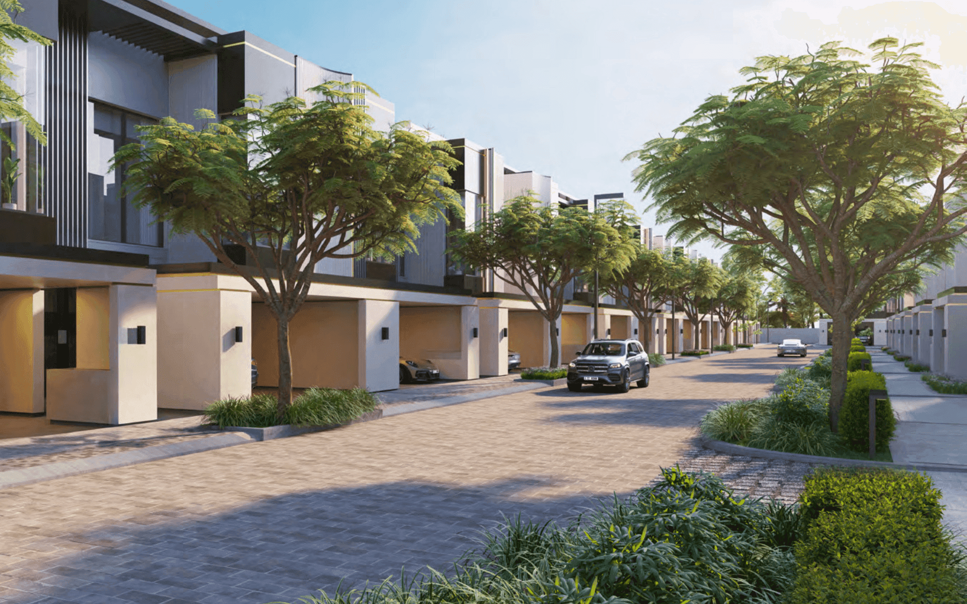 Tree-lined street of townhouses